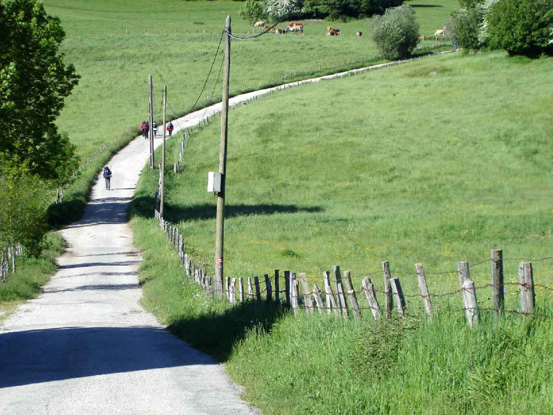 02Roncesvalles-Larrasoana12