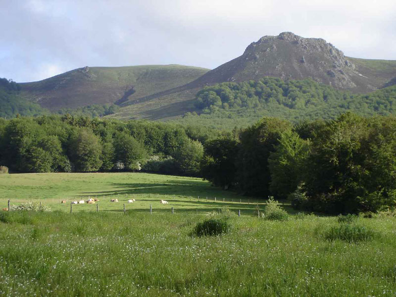 02Roncesvalles-Larrasoana2