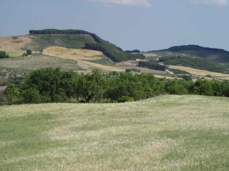 06Estella-Torredelrio13