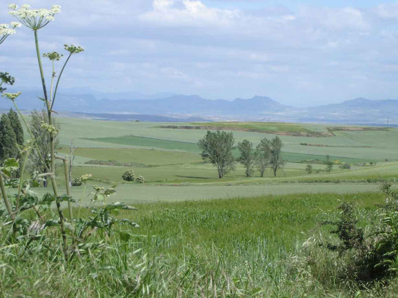 08Logrono-St.Domingo10