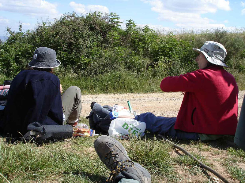 08Logrono-St.Domingo611