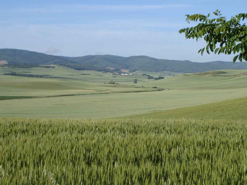 09St.Domingo-Belorad10