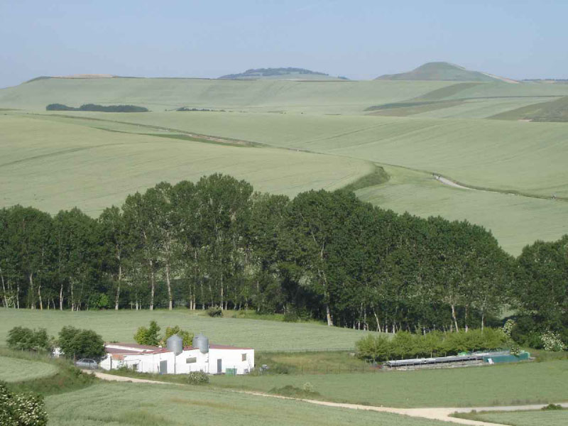 09St.Domingo-Belorad13