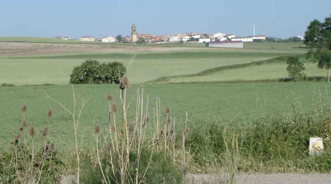 09St.Domingo-Belorado12granon