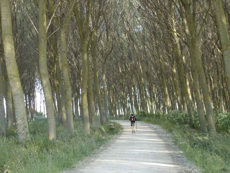 13Burgos-Hontanas100