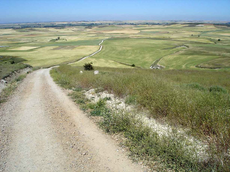 14Hontanas-Boadillo16