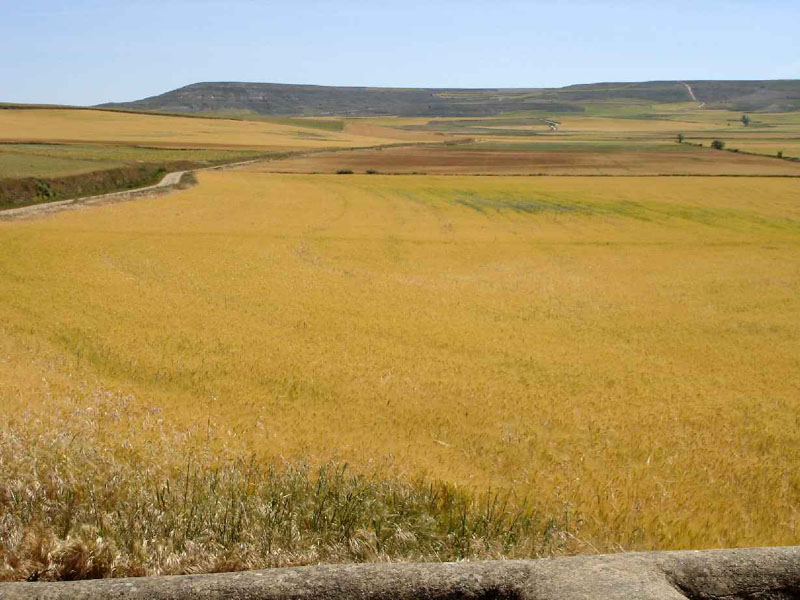 14Hontanas-Boadillo17