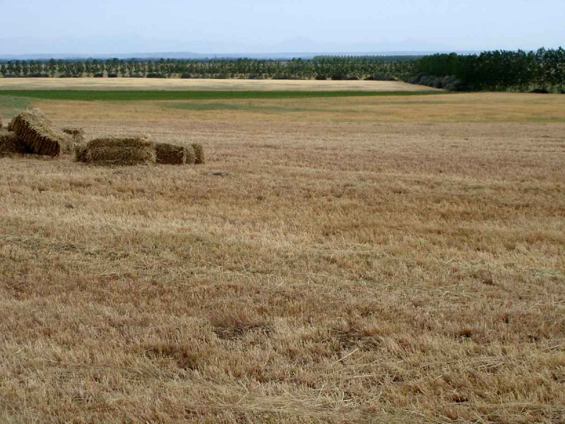 16Carrion-Terradillo1