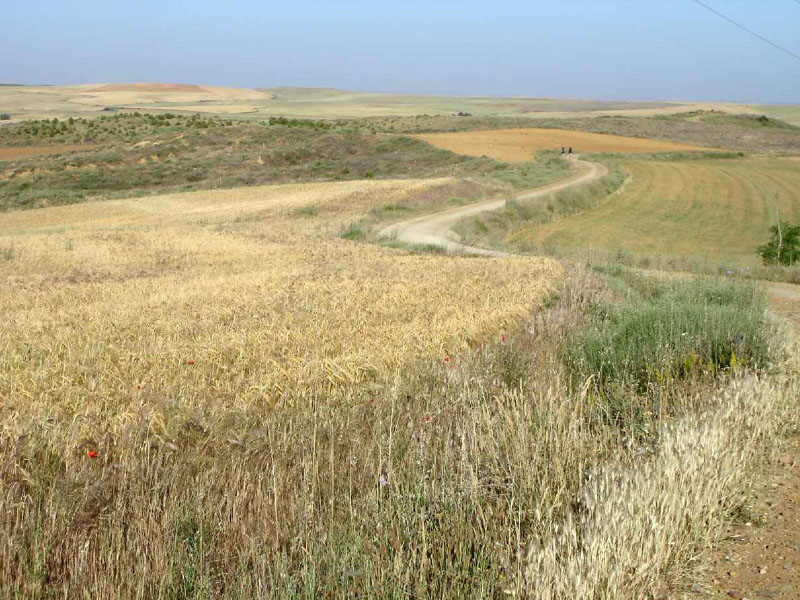 17Teradillo-Sahagun13