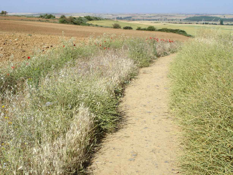 17Teradillo-Sahagun15