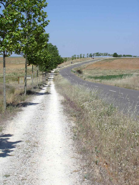 18Sahagun-Reliegos102