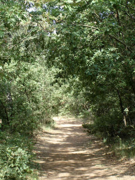 21Sanmartin-Astorga104