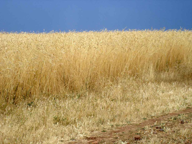 21Sanmartin-Astorga106