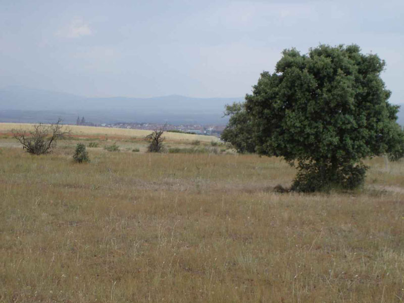 21Sanmartin-Astorga108