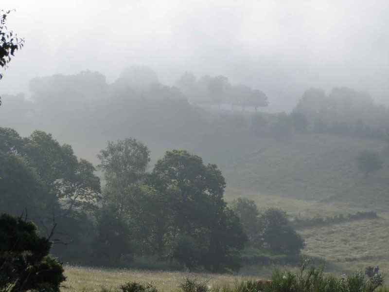 26Triacastela-Sarria5