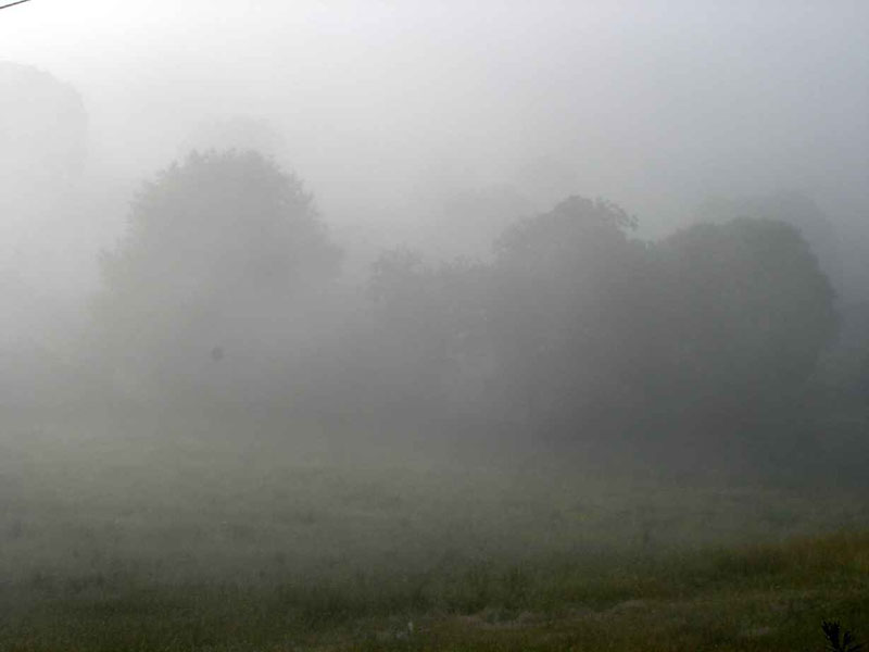 26Triacastela-Sarria61